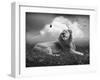 Centinoodle-Lynne Davies-Framed Photographic Print