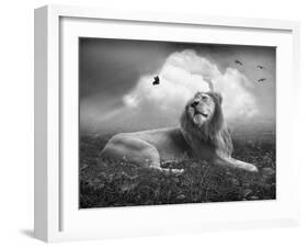 Centinoodle-Lynne Davies-Framed Photographic Print