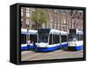 Centraal Station and Trams, Amsterdam, Netherlands, Europe-Amanda Hall-Framed Stretched Canvas