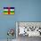 Central African Republic Flag Design with Wood Patterning - Flags of the World Series-Philippe Hugonnard-Stretched Canvas displayed on a wall