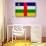 Central African Republic Flag Design with Wood Patterning - Flags of the World Series-Philippe Hugonnard-Stretched Canvas displayed on a wall