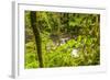 Central America, Costa Rica. Monte Verde, La Paz River, Rain Forest-Jaynes Gallery-Framed Photographic Print