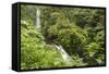 Central America, Costa Rica, Monteverde Cloud Forest Biological Reserve-Jaynes Gallery-Framed Stretched Canvas