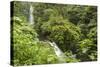 Central America, Costa Rica, Monteverde Cloud Forest Biological Reserve-Jaynes Gallery-Stretched Canvas