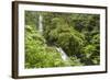 Central America, Costa Rica, Monteverde Cloud Forest Biological Reserve-Jaynes Gallery-Framed Photographic Print