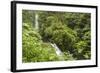 Central America, Costa Rica, Monteverde Cloud Forest Biological Reserve-Jaynes Gallery-Framed Photographic Print