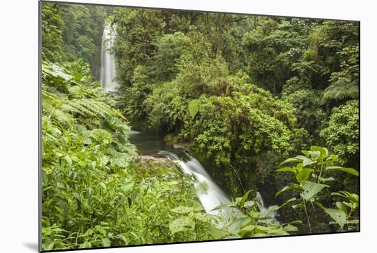 Central America, Costa Rica, Monteverde Cloud Forest Biological Reserve-Jaynes Gallery-Mounted Photographic Print