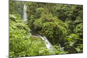 Central America, Costa Rica, Monteverde Cloud Forest Biological Reserve-Jaynes Gallery-Mounted Photographic Print