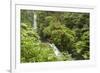 Central America, Costa Rica, Monteverde Cloud Forest Biological Reserve-Jaynes Gallery-Framed Photographic Print