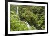 Central America, Costa Rica, Monteverde Cloud Forest Biological Reserve-Jaynes Gallery-Framed Photographic Print