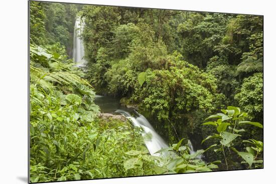 Central America, Costa Rica, Monteverde Cloud Forest Biological Reserve-Jaynes Gallery-Mounted Photographic Print