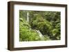 Central America, Costa Rica, Monteverde Cloud Forest Biological Reserve-Jaynes Gallery-Framed Photographic Print