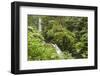 Central America, Costa Rica, Monteverde Cloud Forest Biological Reserve-Jaynes Gallery-Framed Photographic Print