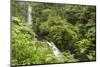 Central America, Costa Rica, Monteverde Cloud Forest Biological Reserve-Jaynes Gallery-Mounted Photographic Print