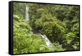 Central America, Costa Rica, Monteverde Cloud Forest Biological Reserve-Jaynes Gallery-Framed Stretched Canvas