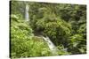 Central America, Costa Rica, Monteverde Cloud Forest Biological Reserve-Jaynes Gallery-Stretched Canvas