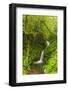 Central America, Costa Rica. Monteverde Waterfall. Rain Forest-Jaynes Gallery-Framed Photographic Print