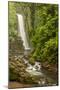 Central America, Costa Rica. Templo Waterfall in Rain Forest-Jaynes Gallery-Mounted Photographic Print