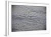 Central America, El Salvador, beach sand patterns.-Connie Bransilver-Framed Photographic Print