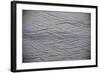 Central America, El Salvador, beach sand patterns.-Connie Bransilver-Framed Photographic Print