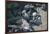 Central America, El Salvador, turtle hatchlings.-Connie Bransilver-Framed Photographic Print