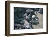 Central America, El Salvador, turtle hatchlings.-Connie Bransilver-Framed Photographic Print