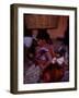 Central American Common Market-John Dominis-Framed Photographic Print