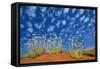 Central Australia Poached Egg Daisy, Desert Vegetation-null-Framed Stretched Canvas