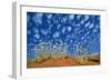 Central Australia Poached Egg Daisy, Desert Vegetation-null-Framed Photographic Print