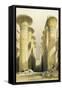Central Avenue of the Great Hall of Columns, Karnak, from Egypt and Nubia, Vol.1-David Roberts-Framed Stretched Canvas