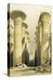 Central Avenue of the Great Hall of Columns, Karnak, from Egypt and Nubia, Vol.1-David Roberts-Stretched Canvas