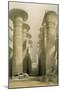 Central Avenue of the Great Hall of Columns-David Roberts-Mounted Giclee Print