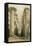 Central Avenue of the Great Hall of Columns-David Roberts-Framed Stretched Canvas