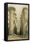 Central Avenue of the Great Hall of Columns-David Roberts-Framed Stretched Canvas