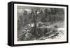 Central Avenue, the New Rugby, 1880, USA, America-null-Framed Stretched Canvas