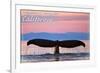 Central Coast California - Humpback Fluke and Sunset-Lantern Press-Framed Art Print