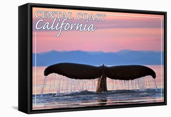 Central Coast California - Humpback Fluke and Sunset-Lantern Press-Framed Stretched Canvas