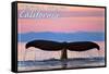 Central Coast California - Humpback Fluke and Sunset-Lantern Press-Framed Stretched Canvas