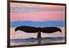 Central Coast California - Humpback Fluke and Sunset-Lantern Press-Framed Art Print