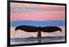 Central Coast California - Humpback Fluke and Sunset-Lantern Press-Framed Art Print