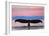Central Coast California - Humpback Fluke and Sunset-Lantern Press-Framed Art Print