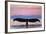 Central Coast California - Humpback Fluke and Sunset-Lantern Press-Framed Art Print