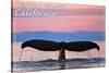 Central Coast California - Humpback Fluke and Sunset-Lantern Press-Stretched Canvas