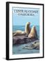 Central Coast, California - Sea Lions-Lantern Press-Framed Art Print