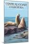 Central Coast, California - Sea Lions-Lantern Press-Mounted Art Print