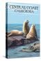 Central Coast, California - Sea Lions-Lantern Press-Stretched Canvas