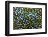 Central Greece, Athens, Monastiraki Flea Market, Marbles-Walter Bibikow-Framed Photographic Print