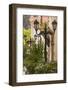 Central Greece, Delphi, Streetlight-Walter Bibikow-Framed Photographic Print