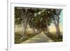 Central Highway, Havana-null-Framed Premium Giclee Print