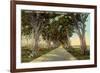 Central Highway, Havana-null-Framed Premium Giclee Print